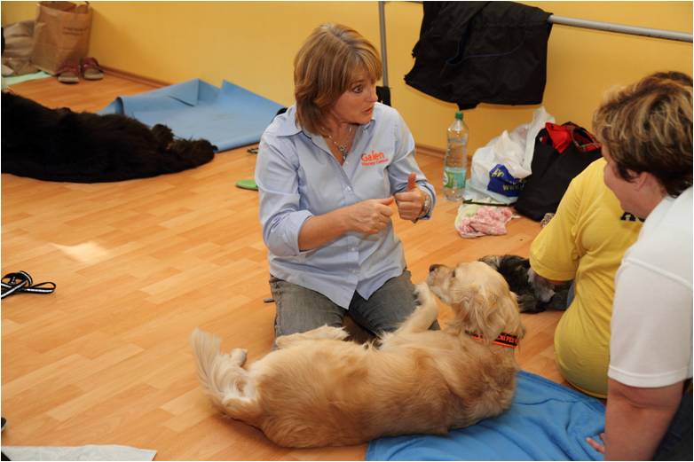 Aj psy majú svoje dni, kedy by sa im hodila masáž