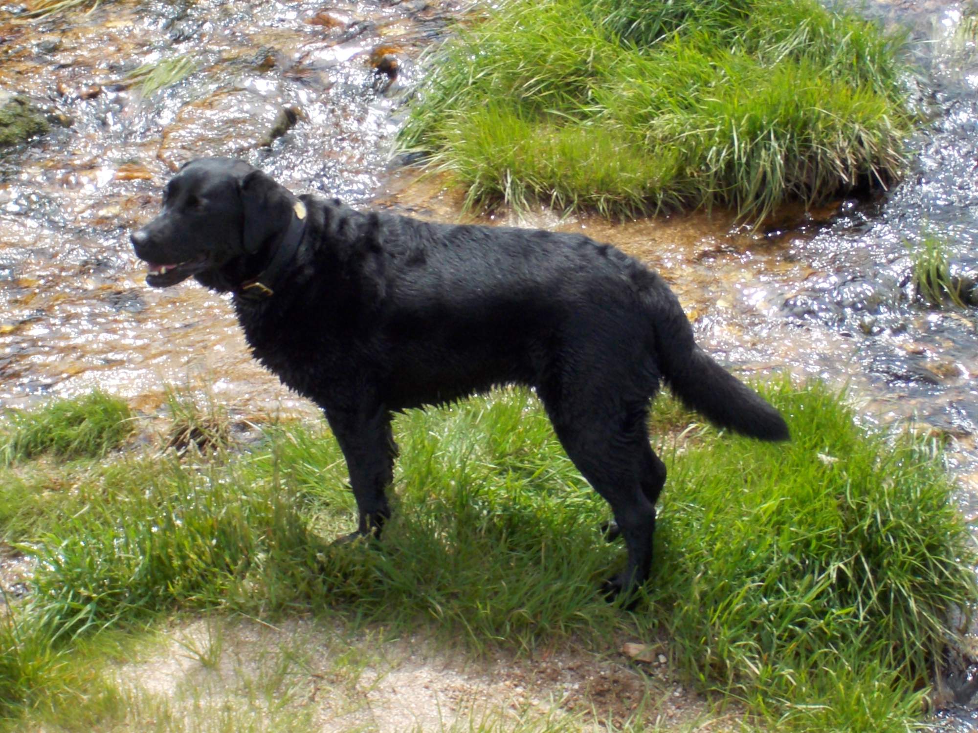 Šetrná liečba pri absencii ruje