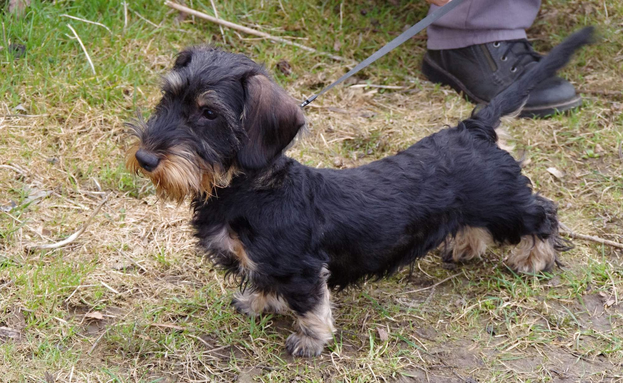 Nebezpečný suvenír z prechádzky