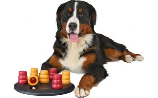 Cvičenie s motivačný hračkou