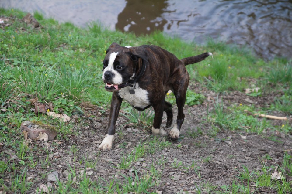 Po odčervenie späť do kondície