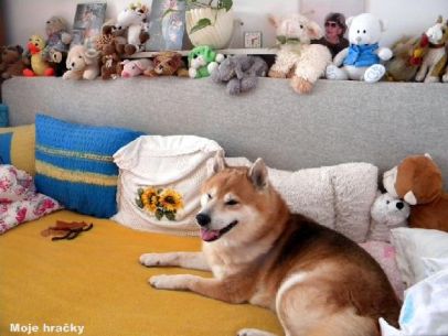 Hra: Poznaj hračku!