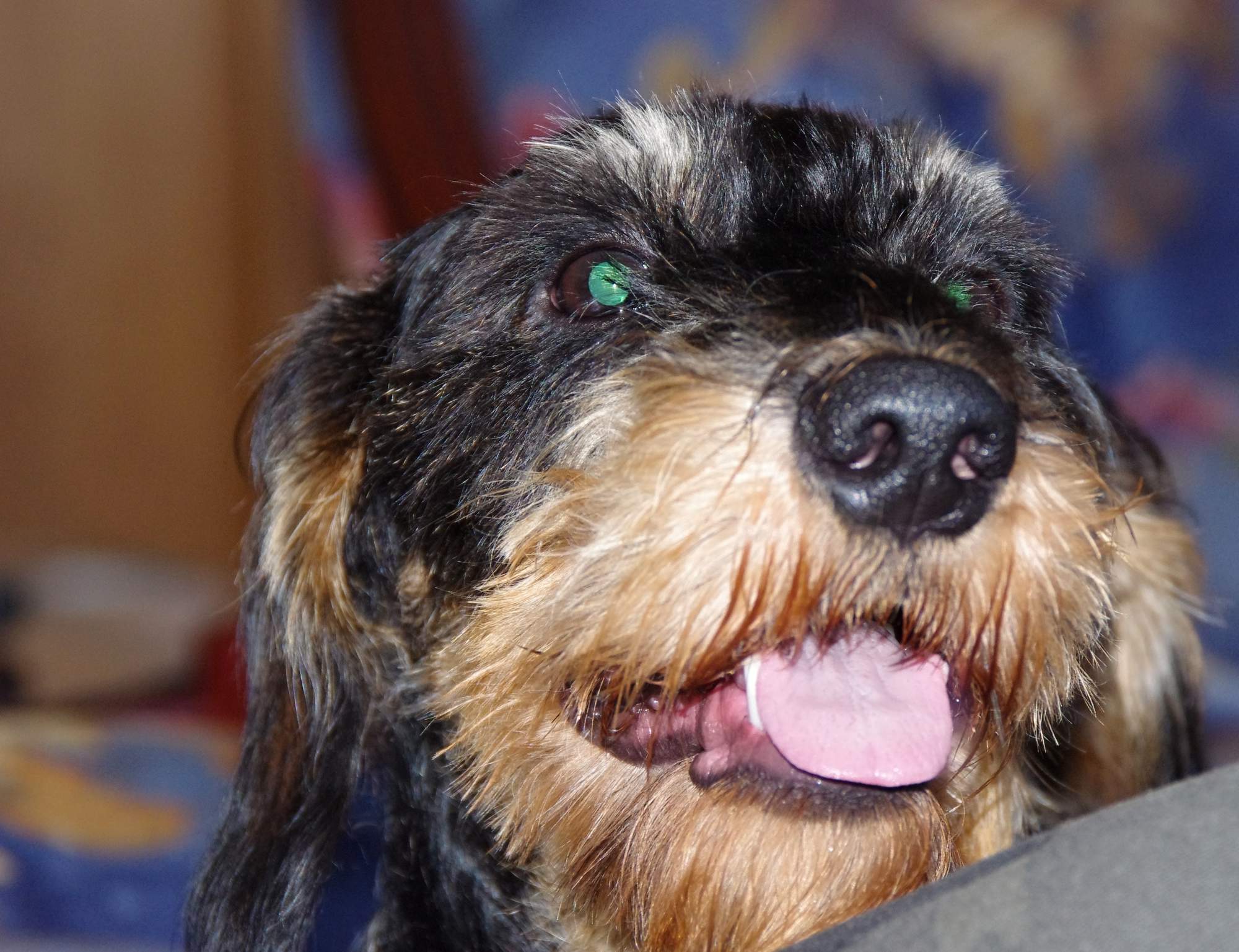 Zvracanie žalúdočných štiav