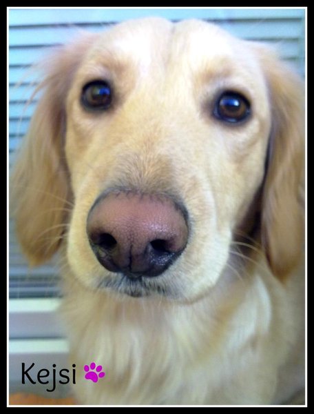 Zápal rohovky (keratitída) a homeopatická liečba