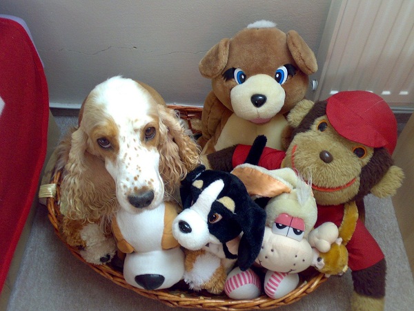 Hračky patrí na miesto