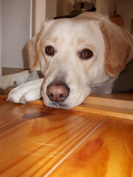 So psom do reštaurácie? Kam môžete a kam nie?