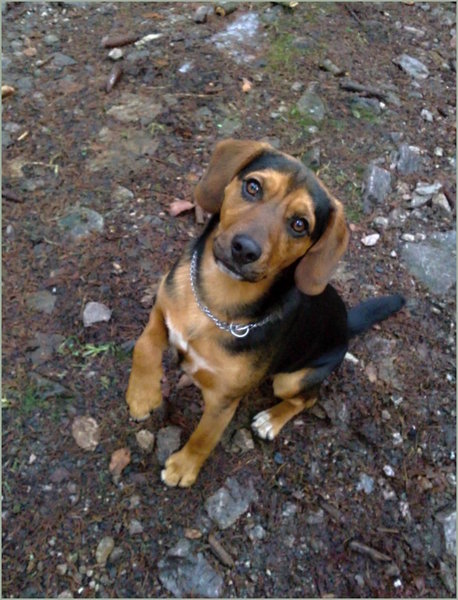 & # 8222; Zachrániť & # 8220; môže byť nebezpečné