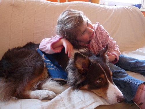 Asistenčné, signálne a canisterapeutický pes