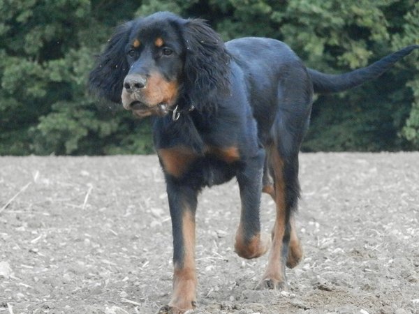 Strach z veľkých predmetov