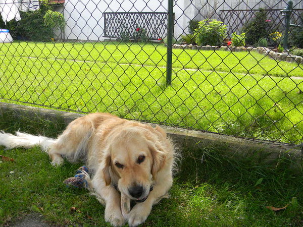 Veľká záhrada nestačí