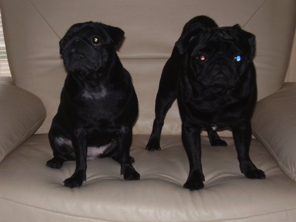 Vizuálny extrém ako hendikep?