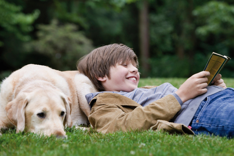 Najčastejšie & # 8222; klíštěcí & # 8220; a & # 8222; blšie & # 8220; chyby