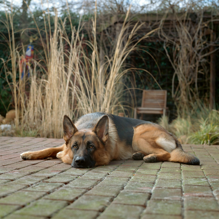 Nedajte parazitom šancu, najlepšia obrana je útok!