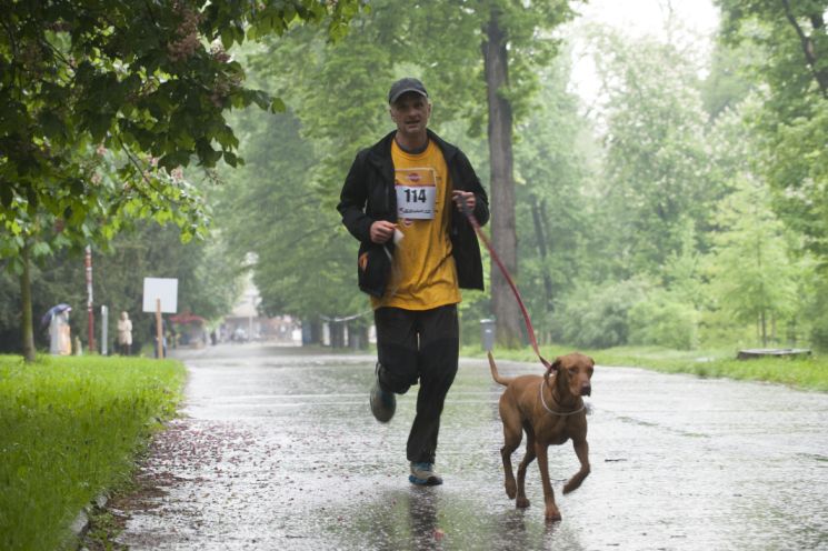 Behajte so svojim psom!