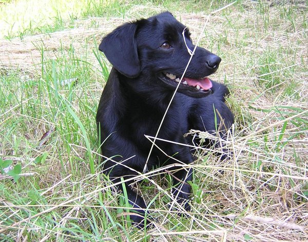 Mastitída - šetrná pomoc