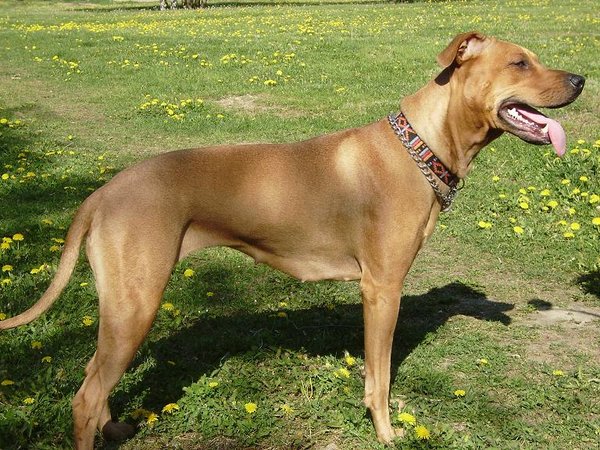 Prírodné doplnky stravy