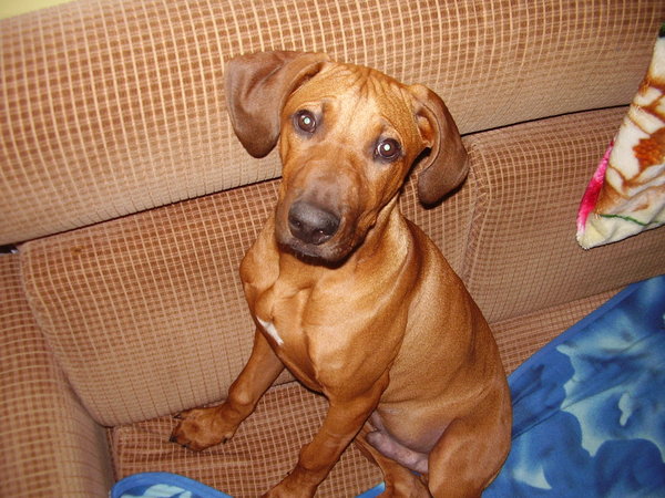 Čo robiť, keď je vonku zlé počasie?