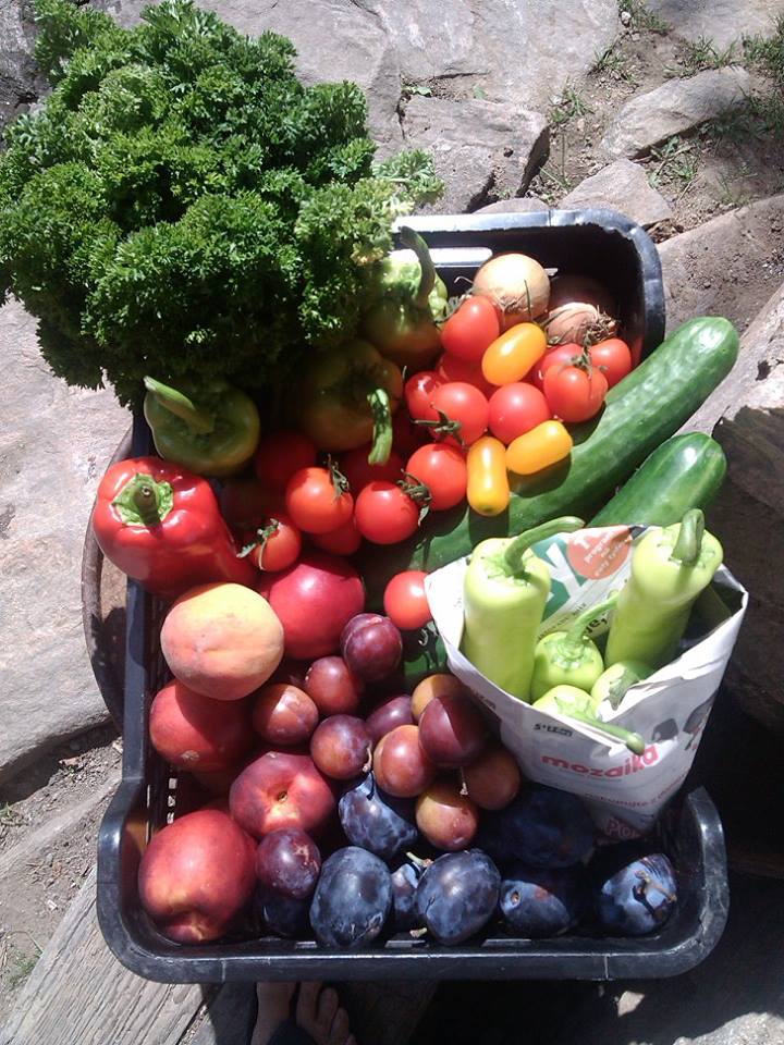 stráviteľnosť zeleniny