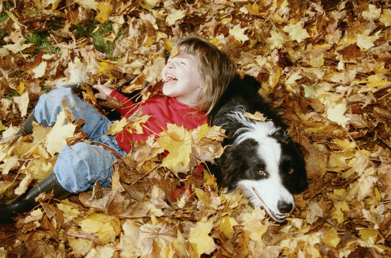 Zásady prevencie pred vnútornými parazitmi
