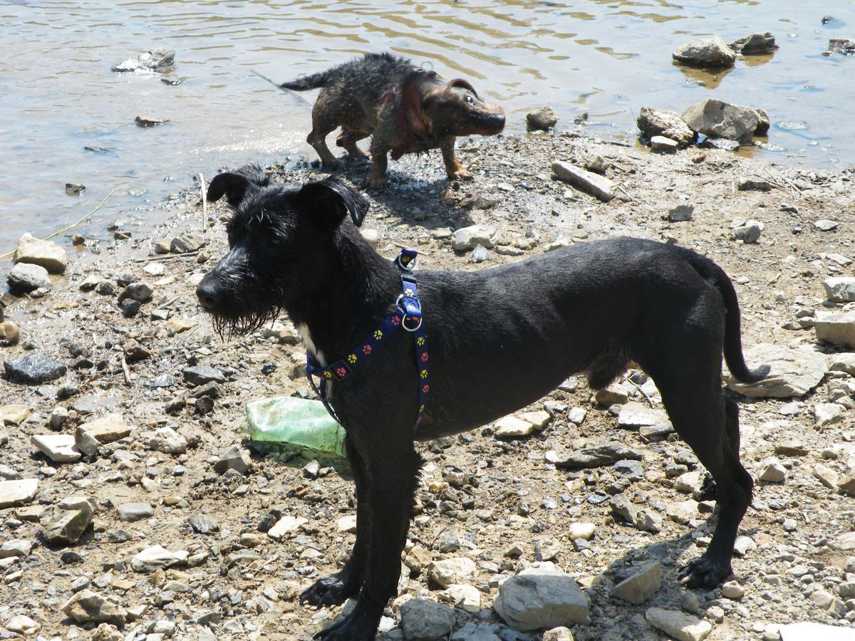 Prechádzky sú nočnou morou