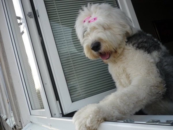 So psom do kancelárie