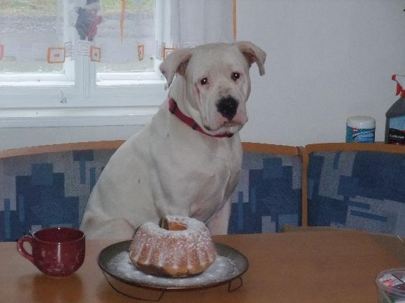 Zatočte s nadváhou