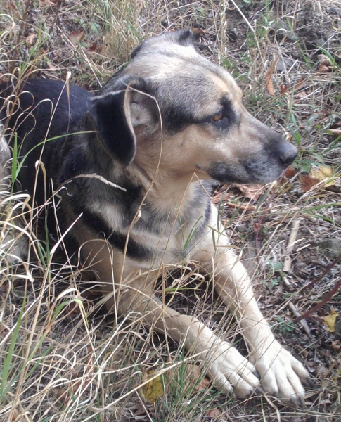 Šetrná liečba ochorenia kože