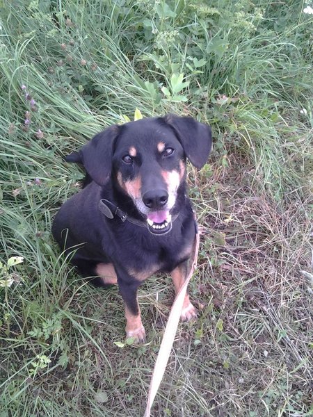 Pozvánka: Útulkáři prejdú Zlínom