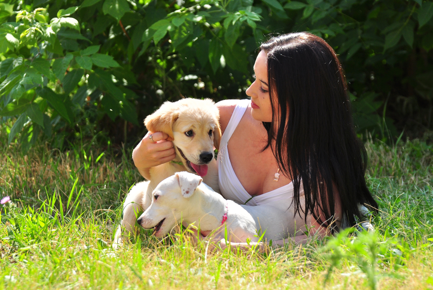 Kliešte ožívajú, chráňte svojho maznáčika