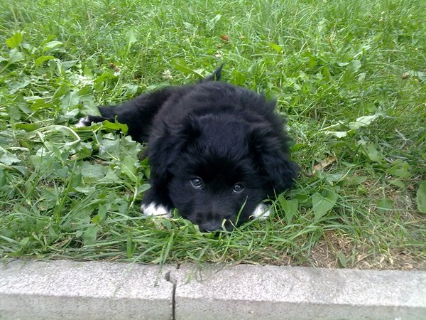 Útulok na Vršava opäť privíta jar