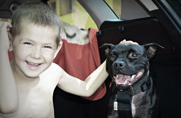 Známa komunikátorka so zvieratami z Južnej Afriky príde do ČR