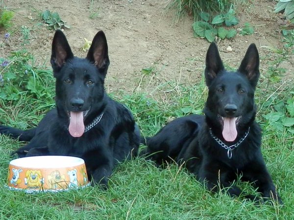 Zásady pitného režimu