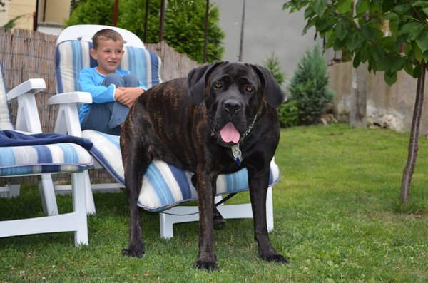 Ako predchádzať obezite?