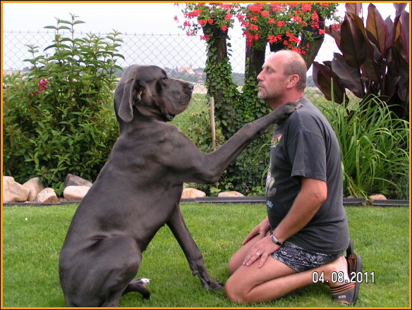 11 znakov, že ste tak trochu posadnutí svojím psom