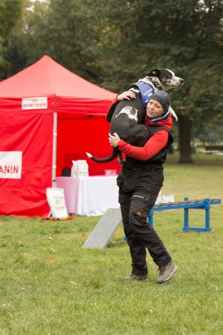 Záchranársky psi sa predviedli na Karlovom námestí