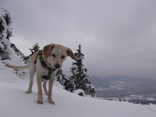 Zima bez ťažkostí