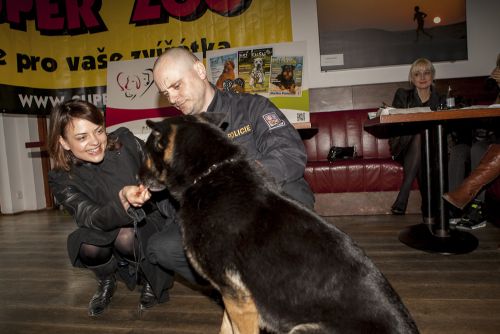 Statočné psie srdce 2015