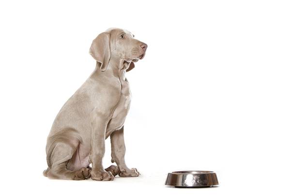 A zase tá výživa ...