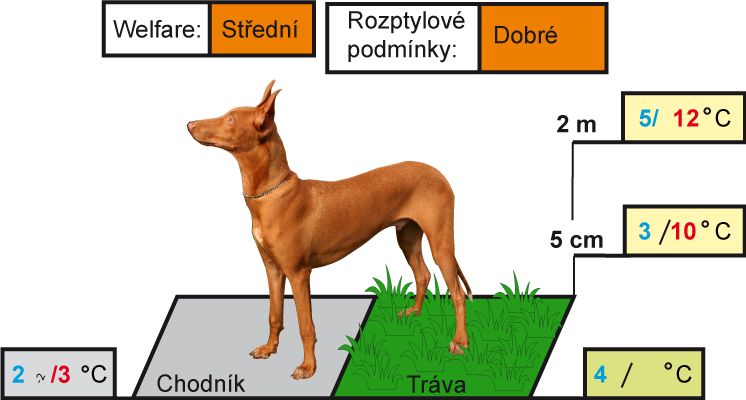 Novinka: Počasie pre psov