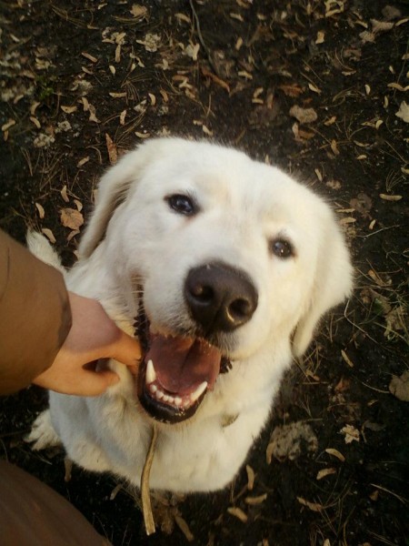 Zásady správnej starostlivosti o zuby