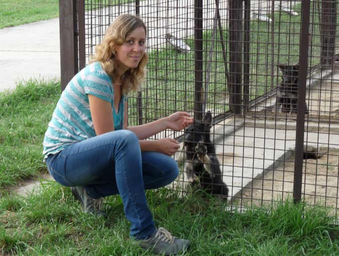 Odborníčka odpovedá na otázky o kŕmenie a obezite psov