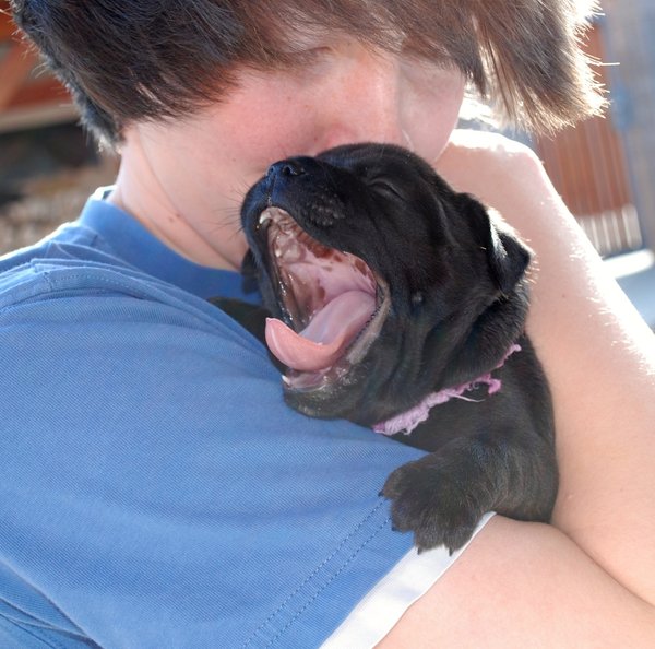 Ako zvieratá prospievajú ľuďom?