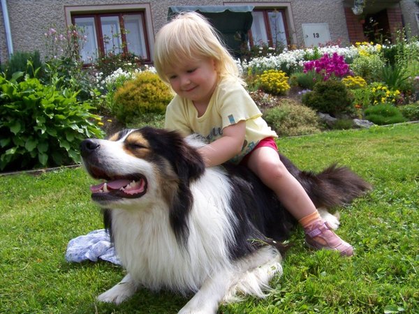 Pozvánka na workshopy o canisterapiu