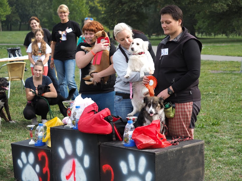 Pozvánka na voříškiádu 25. júna v Ostrave