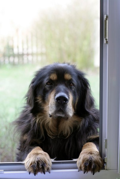 Ektropium a entropium