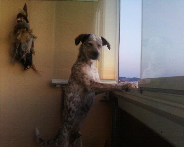 Parapet ako pozorovacie zóna