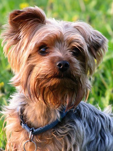 Aj u maškŕt sledujte zloženie