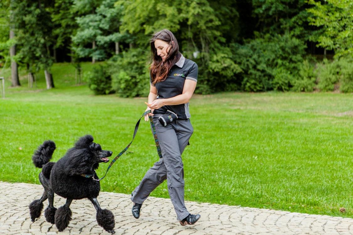 Pozvánka: Parky plné maškŕt