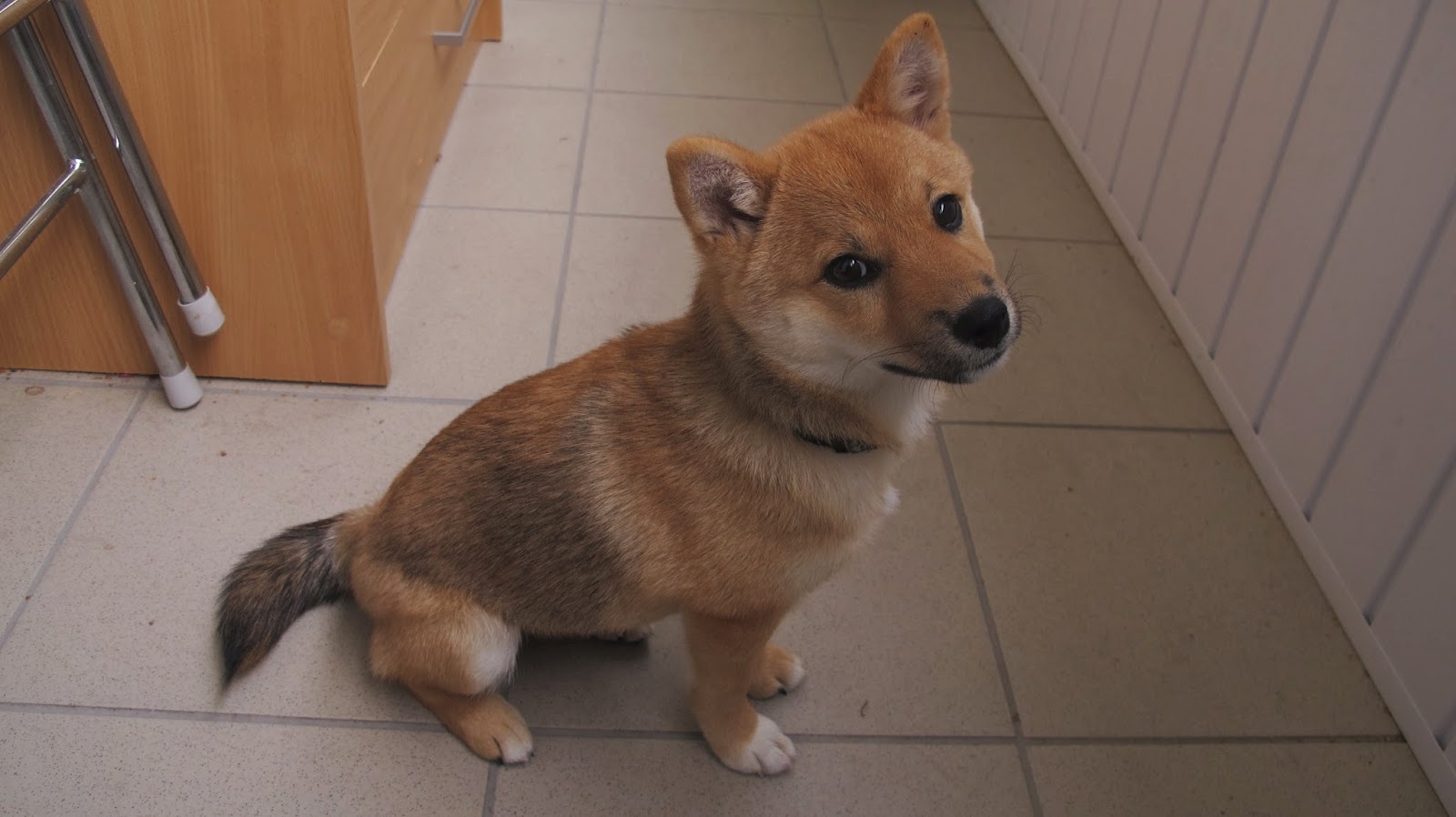 Keď sa jedlo stane utrpením