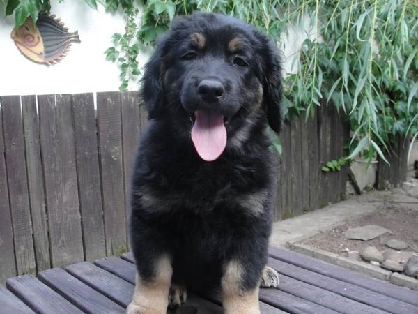 15 tipov pre pohodovú výchovu